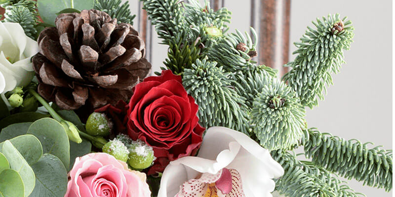 You are currently viewing Best Christmas Flowers and Plants delivered online in Bangalore in 2023